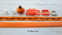 Halloween cat collar kit DIY 